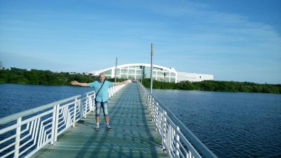 Laguna del Carpintero